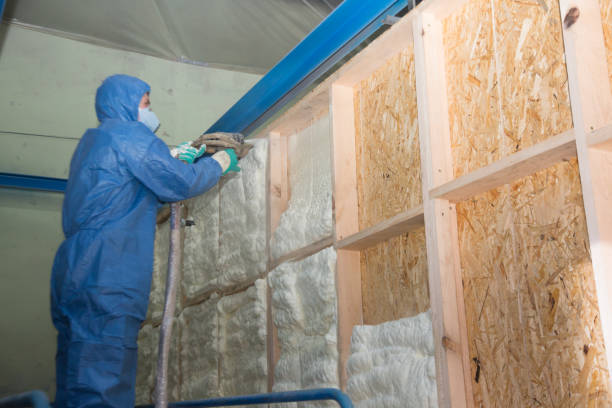 Insulation Contractors for Homes in Cayucos, CA